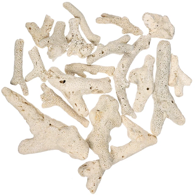Kit Acquario Completo Con Filtro, Pompa E Luce - Vasca Acrilica 38 Cm, Per Pesci Tropicali/acqua Fredda, Design Elegante
