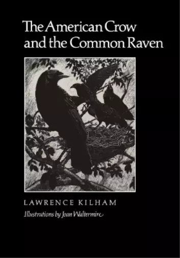 The American Crow & Common Raven (Taschenbuch)