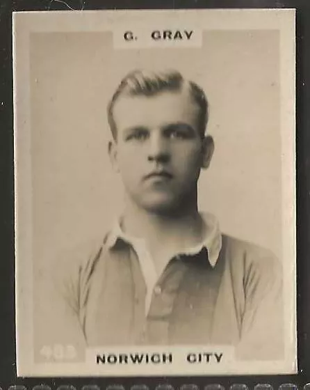 Pinnace Football-Double Frame Back-#0483- Norwich City - G. Gray