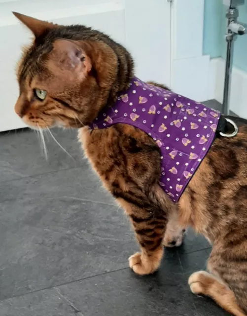 Cat Harness/Walking Jacket Land O Burns Bengals Purple Strawberries Kitten Small