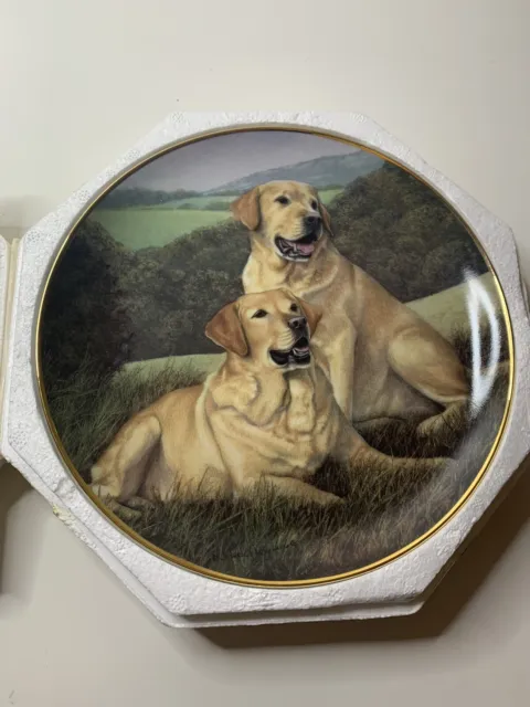 GOLDEN COMPANIONS Franklin Mint Plate Labradors / Retriever Dogs Nigel Hemming