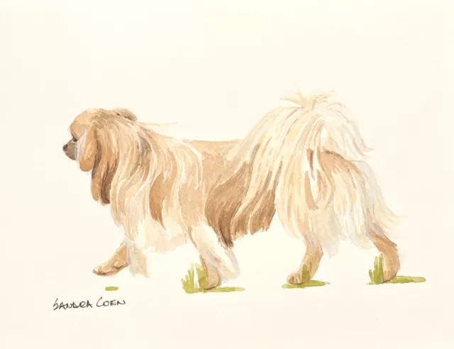 Tibetan Spaniel  Original Watercolor by Sandra Coen Walking