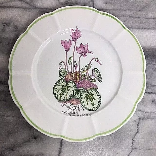 Cyclamen Porcelain Dessert Plate Collection Paris France 7.75 in