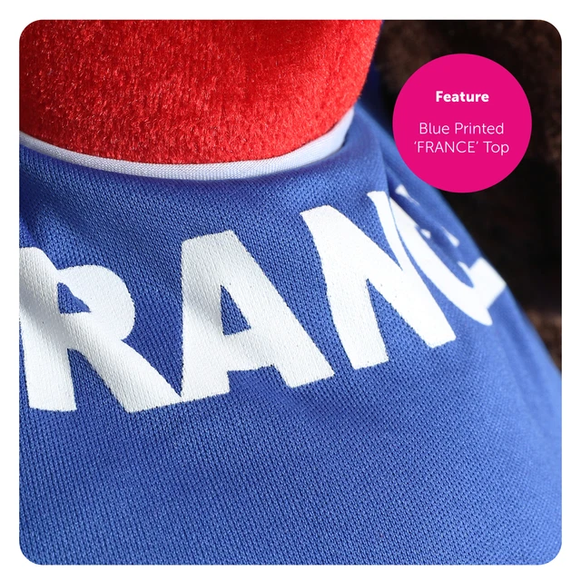 FRENCH COCKEREL HAT Rugby Supporters France Football Bastille Day Fancy ...