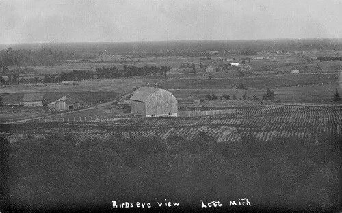 Birds Eye View Alcona County Lott Michigan MI Reprint Postcard