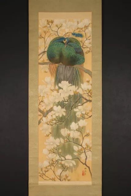ds1194 Hanging Scroll "Peacock on a Magnolia Tree" by Shibahara Kisho (1885-1954