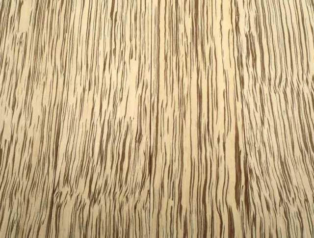 Zebrano Madera Saraifo Zebrawood 62x21, 5cm x 51mm