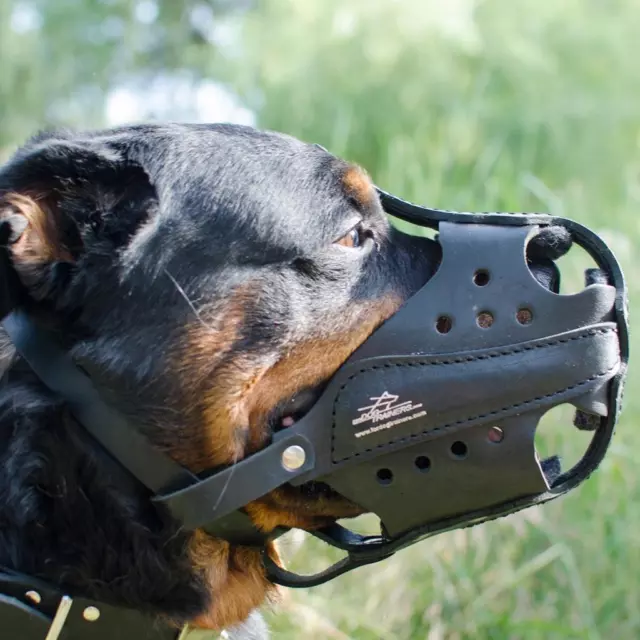 Police K9 Muzzle for Dog Large Size Rottweiler Big Male GSD Caucasian Owcharka