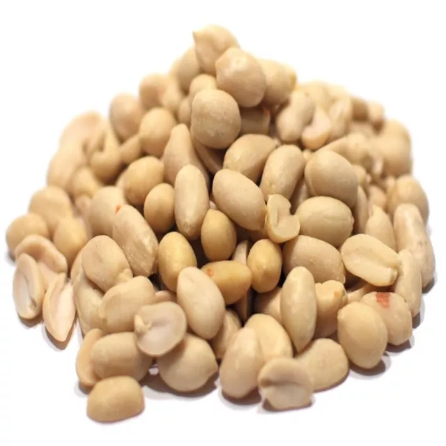 Delicious Roasted Unsalted blanched Peanuts 500g Healthy and Nutritious