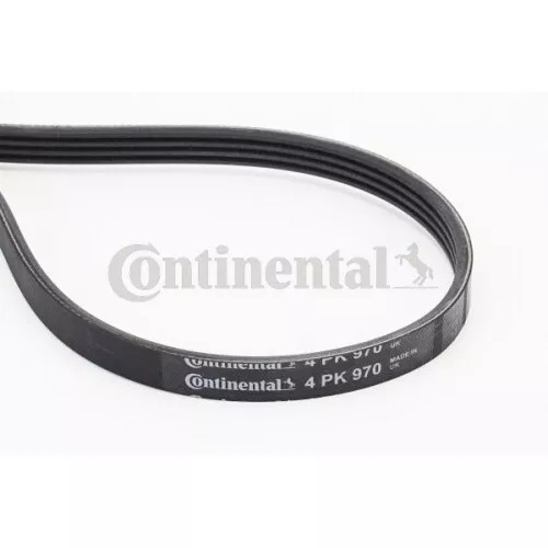 Cinghia Poly V Continental Ctam 4PK970 per Bmw Mitsubishi Kia