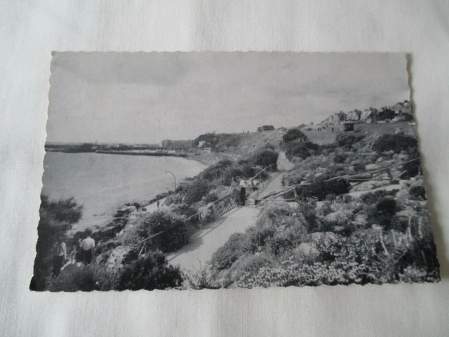 Vintage B/W  Postcard, " East Cliff Rockery, Folkestone, Kent ". P