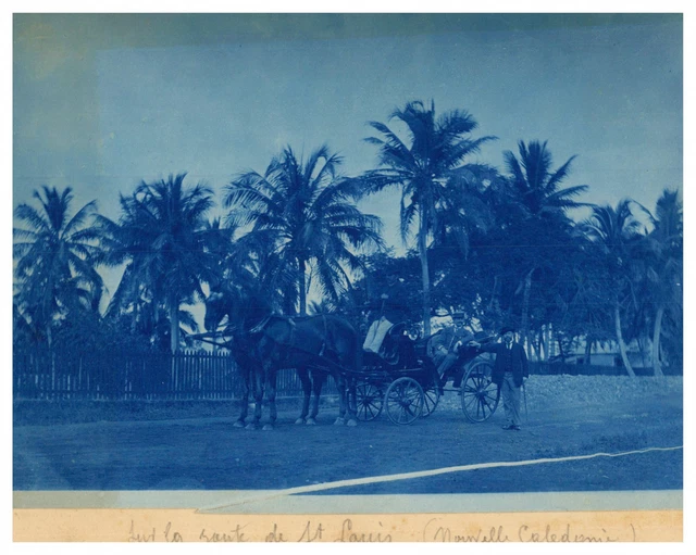 Photo Vintage Algérie Aïn Bénian Attelage Chevaux - Tirage Albuminé Circa 1885