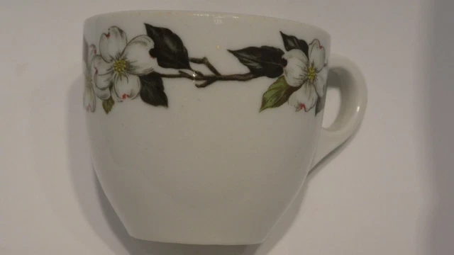 Railroad China Spokane Portland & Seattle SP&S Northern Dogwood Demi Cup