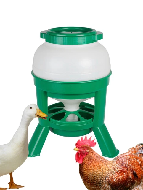 25 Kg Erbsen Gebrochen – Ideal Für Hühner, Enten Und Geflügel