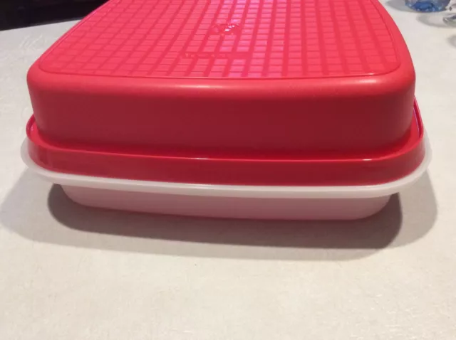 Tupperware Large Season Serve Veggie Meat Marinade Container Red Sheer NEW  