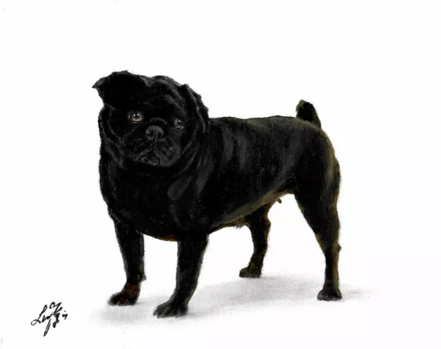 ❈ ORIGINAL Oil Portrait Painting PUG Artist Signed Puppy Dog Artwork BLACK