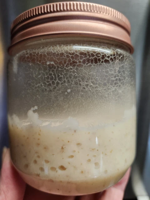 Microworms Starter Culture For Baby Fish Fry 8oz Jar