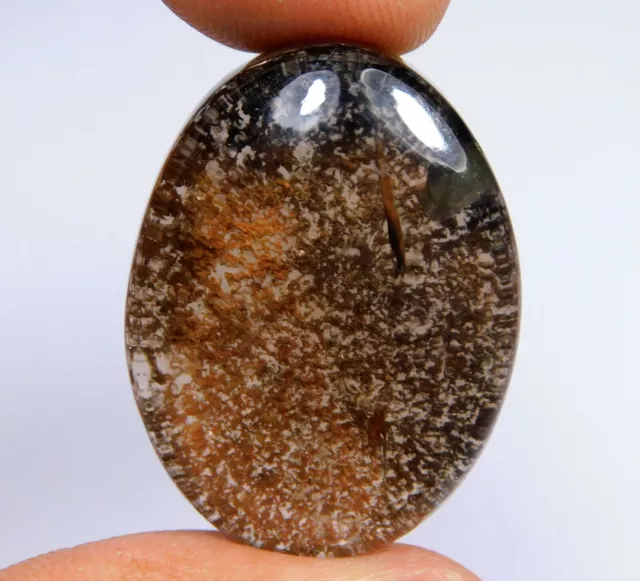 47.CT Naturel Motif Jardin Quartz Lodolite Ovale Desseré Gemme Cabochon Xz =3 98