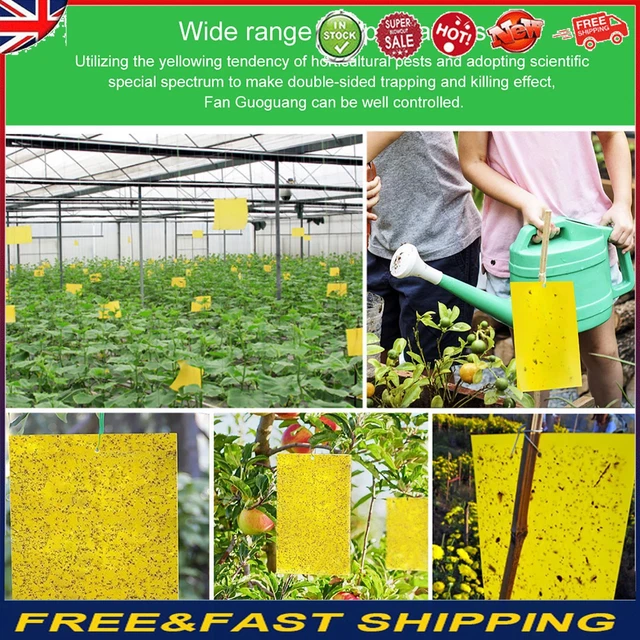 Sticky Traps - 20 Pack Fruit Fly and Fungus Gnat Trap Killer Protect The Plants