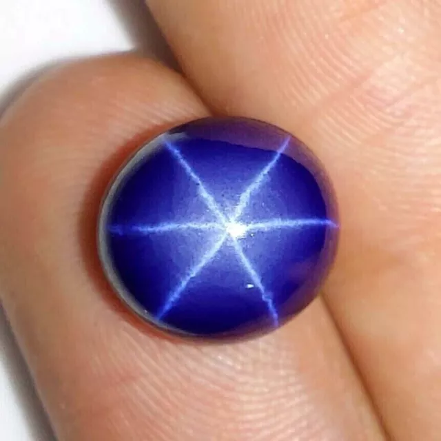 07.85 Cts. 6 Rays Blue Star Sapphire Oval Cabochon Loose Gemstone