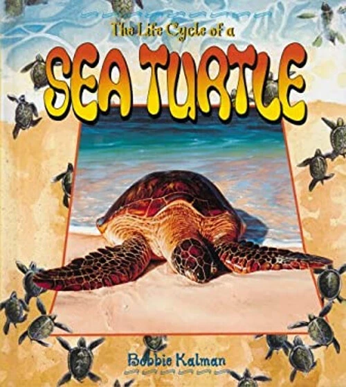 LIFE CYCLE OF a Sea Turtle, Library by Kalman, Bobbie, Like New Used ...