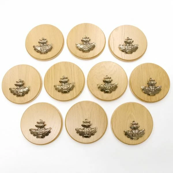 10 Pieza Placa de Jabalí Redondo Roble Claro AF17cm Con 10 X Hoja Portada Grande