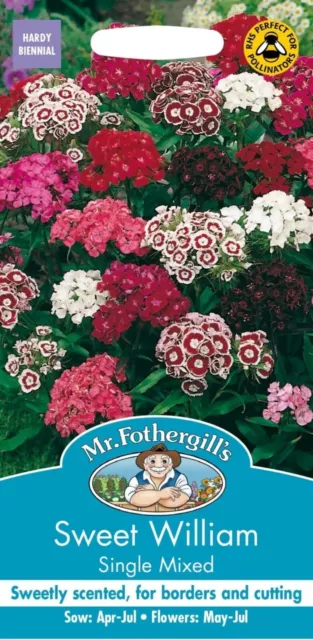 Mr Fothergills - Fiore - Sweet William Misto Singolo - Circa 500 Semi