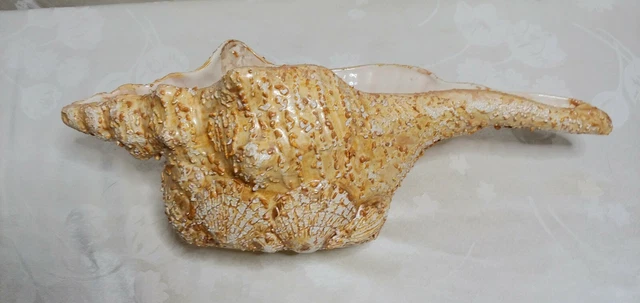 Conch Shell Planter Vintage Artistic Nautical Piece Ceramic Base Art Deco Unique 3