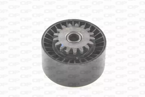Galet Enrouleur (Courroie D'accessoire) Renault Clio Iii 1.2 16V,Twingo Ii 1.2