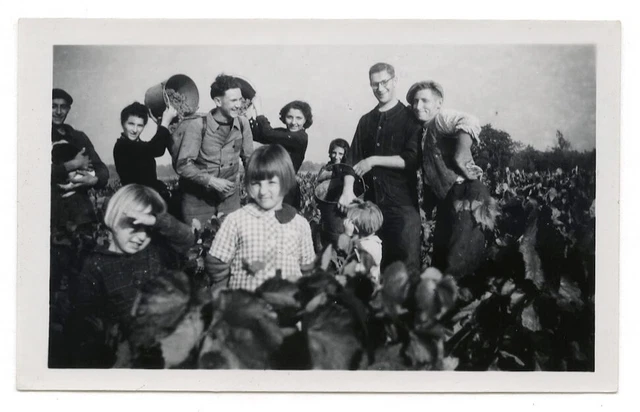 PHOTO Snapshot Groupe Vendange Vin Raisin Vigne 1943 Vignoble Famille Travail
