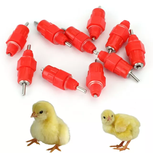 10 Kit Poulet Alimentateur Mangeoire Eau Pipette Canard Poule Volaille