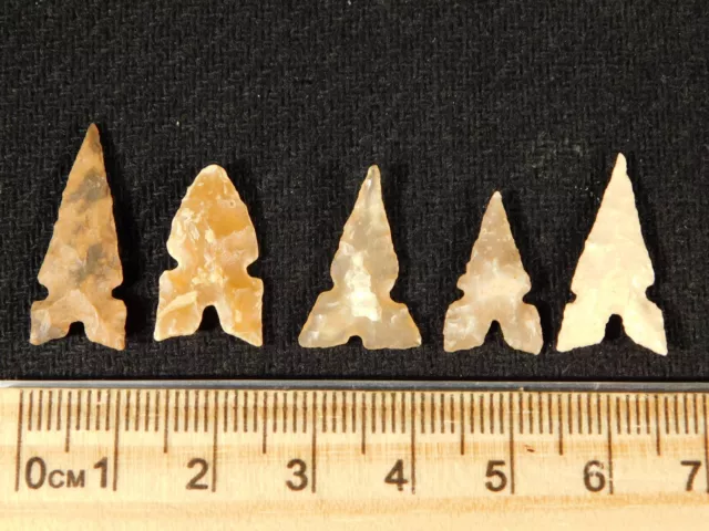 Lot of FIVE Nice! Triple Notch Ancient North African Tidikelt Arrowhead s 6.03