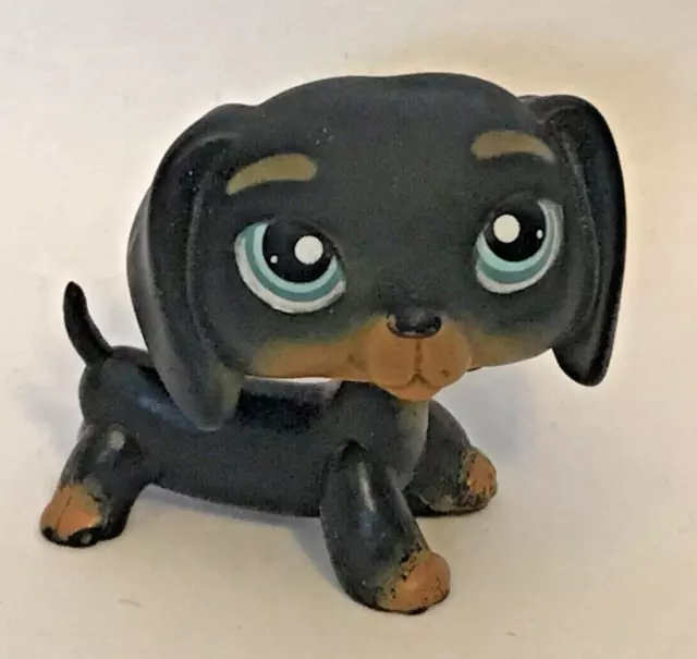 Littlest Pet Shop Dachshund dog #325