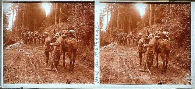 Metreral Guerre Mondiale Ww1 1914 1918 Plaque Stereo Verre 6X13 Stereoscopique