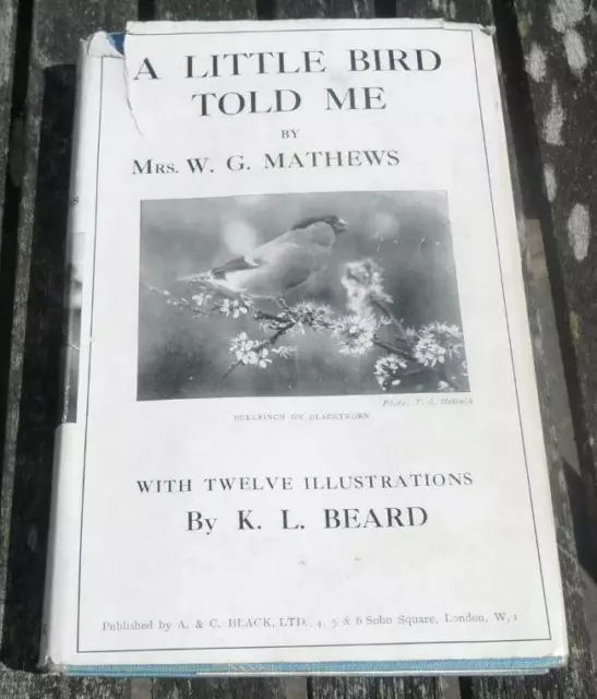 A Little Bird Told Me by W.G. Mathews illus K.L. Beard HBDJ childrens book 1923