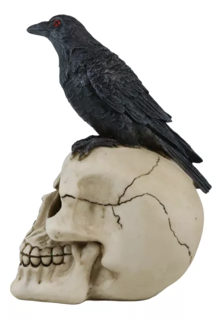 Zombie Raven Scavenger Crow Perching On Wretched Skull Decorative Figurine 8"H 3