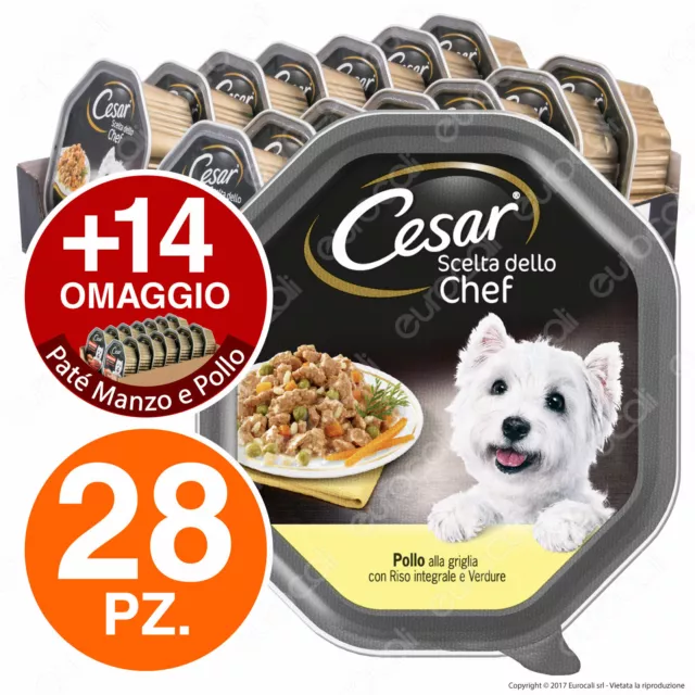 Cesar Scelta dello Chef Cibo per Cani Pollo Riso Verdure - 42 Vaschette da 150g