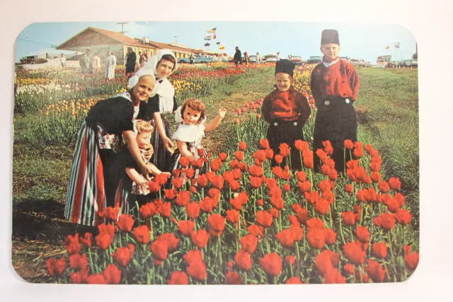 Postcard Tulip Time In Holland MI D11