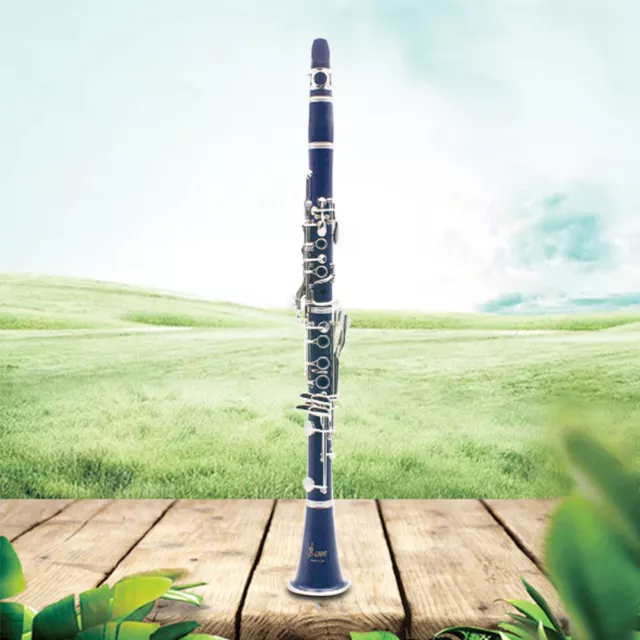 Faxx ReedGard pour anche clarinette/saxophone chez BD Music