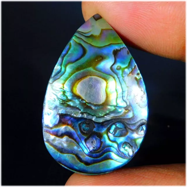 35.20Cts. Naturel Haut Qualité Paua Abalone Coque Poire Cabochon Desseré Gemme