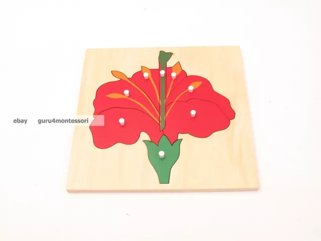 NEW Montessori Botany Material-NEW -PLYWOOD Flower Puzzle