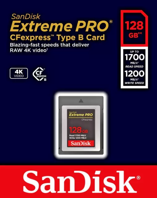 Sandisk Lecteur de carte CF Express Pro type B2