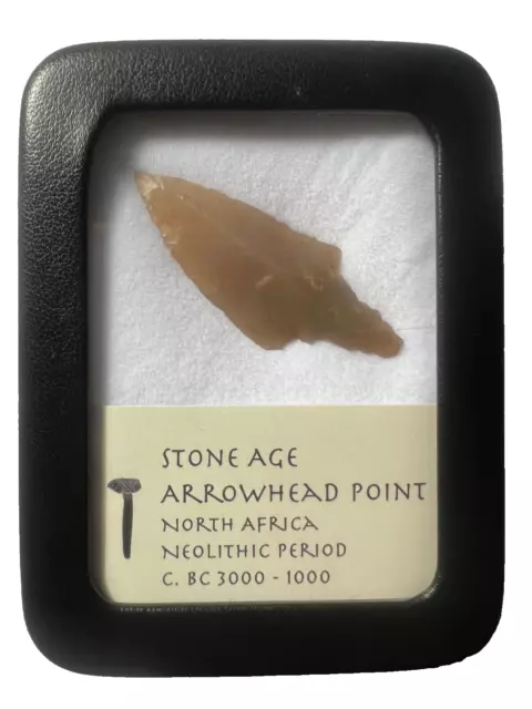 Stone Age Ancient Neolithic Stone Arrowhead In Display Case!