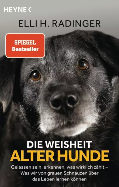 Die Weisheit alter Hunde | Elli H. Radinger | 2020 | deutsch