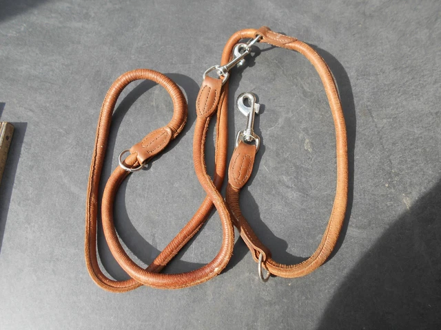 Zwei Hunde Leinen und ein Halsband
