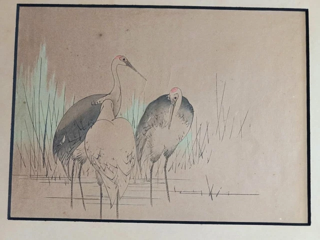 ORIGINAL ANTIQUE JAPANESE Ink Drawing 3 Red-Crowned Cranes Colored 14.5 ...