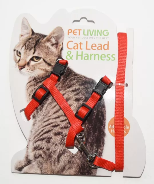 Red Cat lead and Harness Walk/Exercise