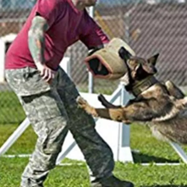 Dog Bite Sleeve Trainer Biting Training Protection Remorqueur Gardes pour 2