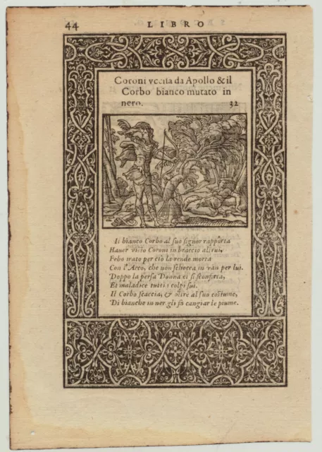 APOLLON Rabe KORONIS TOD Orig. Ornament Holzstich um 1550 Postinkunabel Ovid