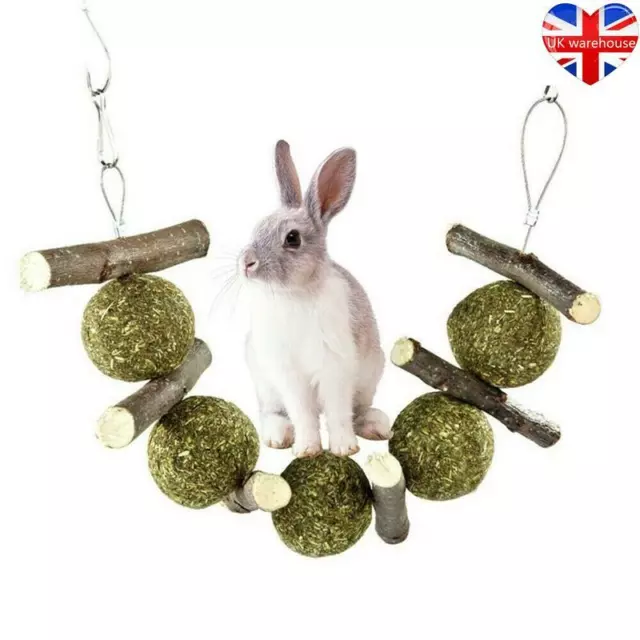 Rabbit Hamster Chew Grass Ball Branch Molar Guinea Pig Pet Teething Grinding Toy